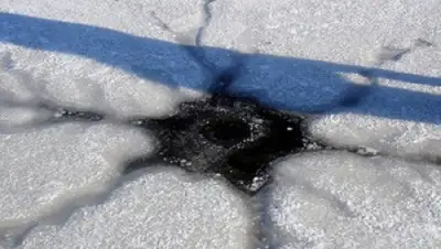 Zakon.kz, фото - Новости Zakon.kz от 15.02.2016 18:39