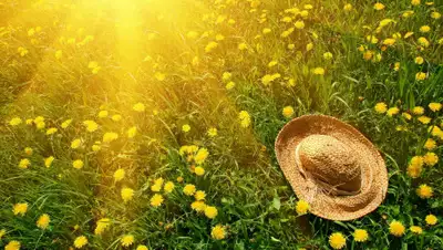 WallpaperMania.eu, фото - Новости Zakon.kz от 08.07.2019 09:30