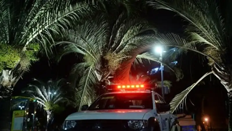 В Перу автобус сорвался в пропасть, погибли 11 человек