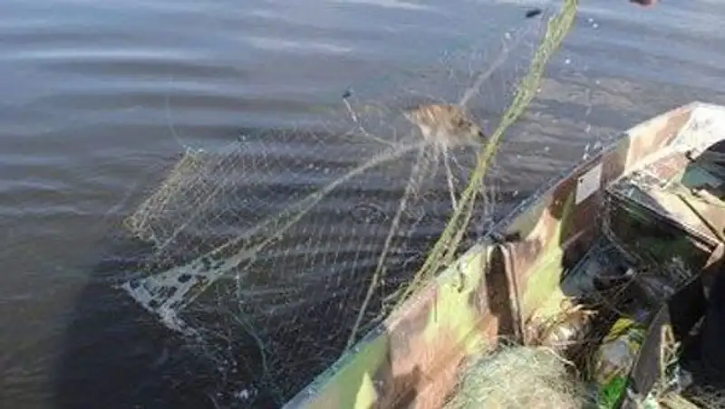 Более десятка сайтов по продаже незаконных рыболовных сетей закрыто в Казахстане