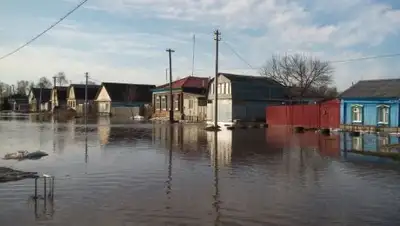 Sarinform, фото - Новости Zakon.kz от 17.04.2018 11:59