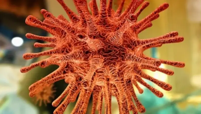 Обнародованы данные о новом заболевшем коронавирусом в Алматинской области