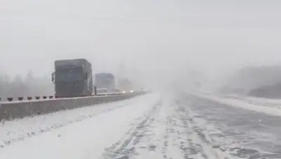 Zakon.kz, фото - Новости Zakon.kz от 20.02.2017 02:24