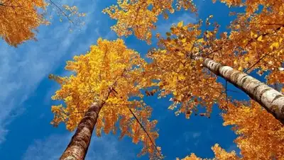 Zakon.kz, фото - Новости Zakon.kz от 20.11.2017 06:15