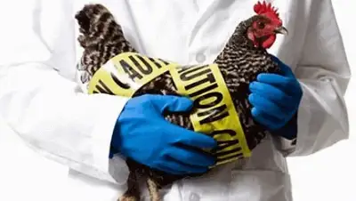 Zakon.kz, фото - Новости Zakon.kz от 06.01.2017 14:45