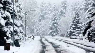 zakon.kz., фото - Новости Zakon.kz от 31.01.2021 18:48