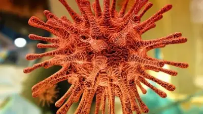 pixabay.com, фото - Новости Zakon.kz от 07.04.2020 16:53