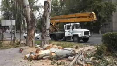 Zakon.kz, фото - Новости Zakon.kz от 17.08.2016 22:53
