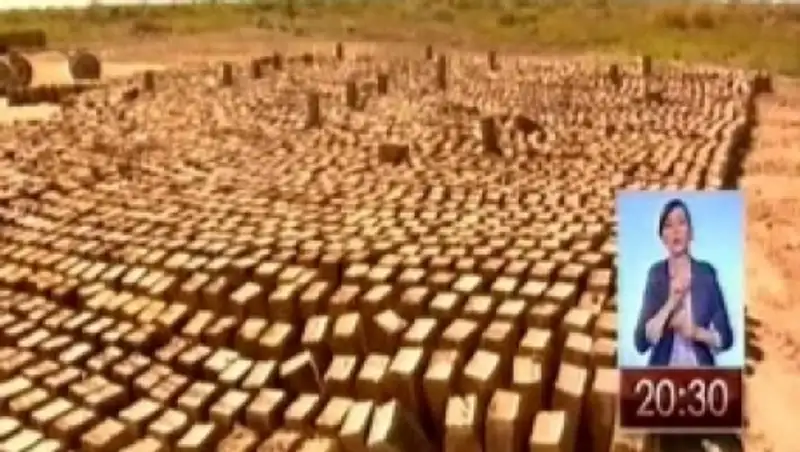 В Кызылординской области закрыли подпольные кирпичные заводы