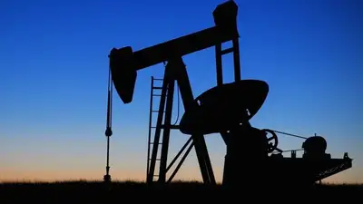 Провести проверку в частных нефтяных компаниях требует депутат