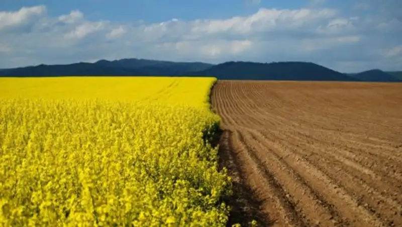 Как будут рассчитывать размеры земельных участков казахстанским фермерам