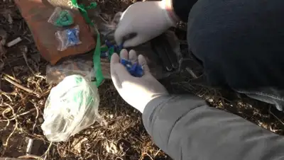 кадр видео, фото - Новости Zakon.kz от 01.04.2019 17:12