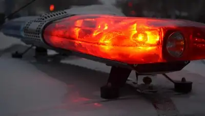 Zakon.kz, фото - Новости Zakon.kz от 16.02.2016 17:08