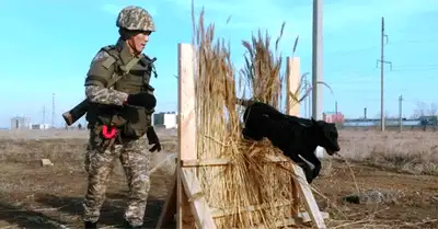 Zakon.kz, фото - Новости Zakon.kz от 17.02.2015 22:02