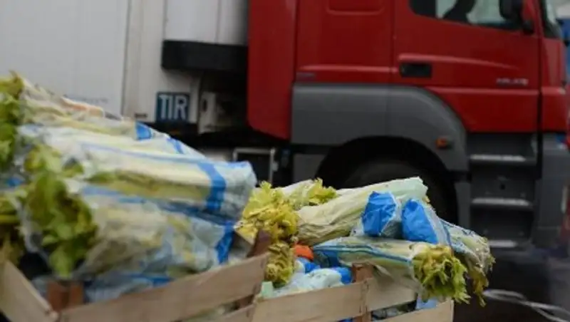 Товары из России и Кыргызстана не допущены на рынок РК из-за нарушения фитосанитарных норм