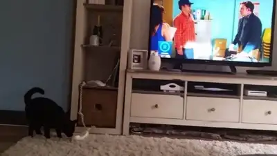 Zakon.kz, фото - Новости Zakon.kz от 12.09.2015 06:02