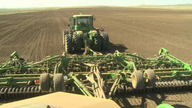 В Карагандинской области восстанавливают пастбища