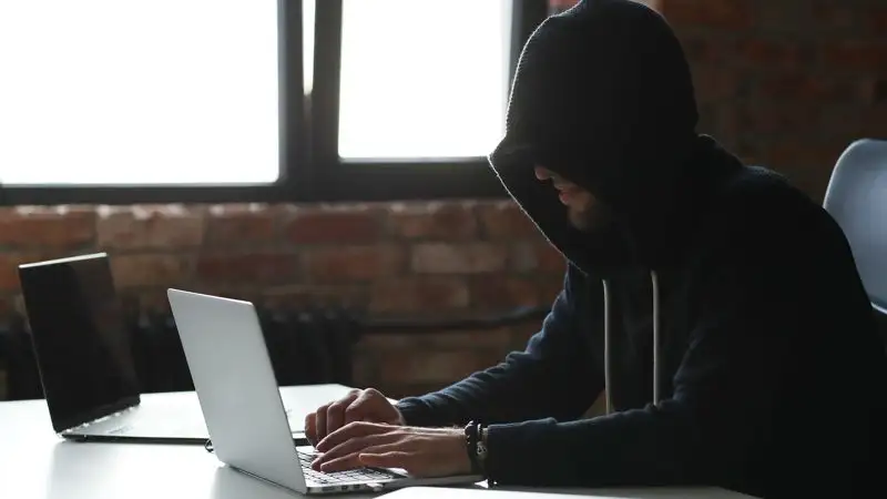 В МВД рассказали о самых популярных видах интернет-мошенничества