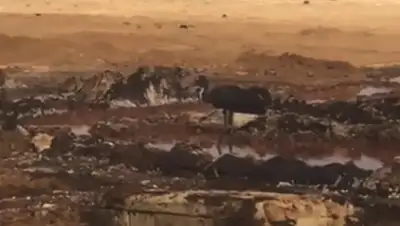 lada.kz, фото - Новости Zakon.kz от 03.08.2020 10:27