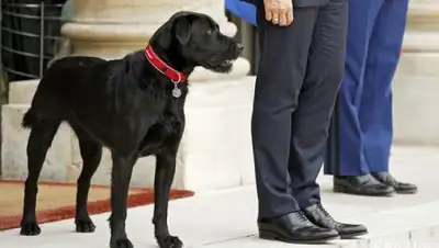 Zakon.kz, фото - Новости Zakon.kz от 23.10.2017 16:06