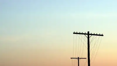 million-wallpapers.ru, фото - Новости Zakon.kz от 07.02.2019 18:00