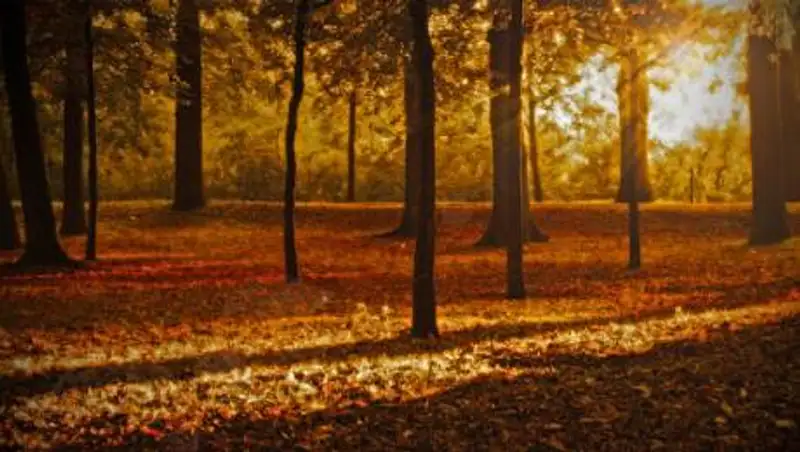 30 октября местами по РК ожидаются туман и усиление ветра