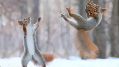 fishki.net, фото - Новости Zakon.kz от 07.02.2020 11:59