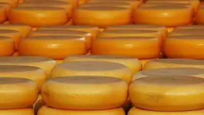 Zakon.kz, фото - Новости Zakon.kz от 26.05.2015 13:54