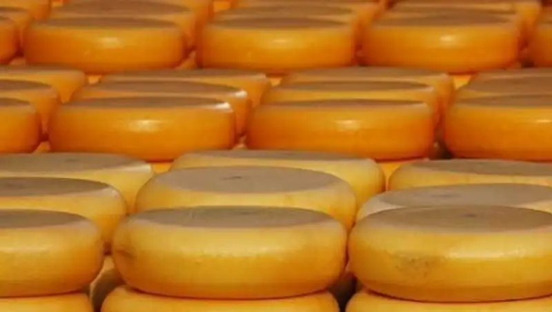 78 тонн сыра из Казахстана не пропустили в Россию