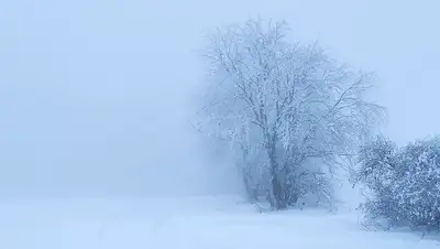 погодные явления , фото - Новости Zakon.kz от 12.01.2022 19:46