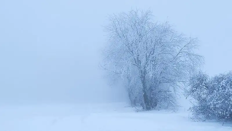 В нескольких областях РК объявлено штормовое предупреждение