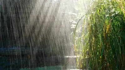 WallpapersCraft, фото - Новости Zakon.kz от 29.06.2018 09:31