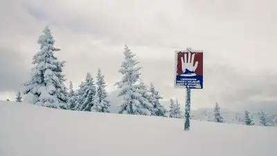 pixabay.com, фото - Новости Zakon.kz от 14.03.2019 19:59