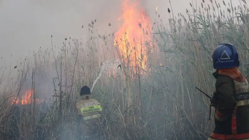 Третий день тушат пожар близ Астаны: хронология событий