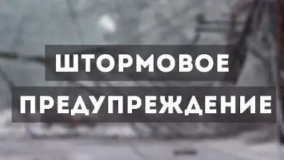 24.kz, фото - Новости Zakon.kz от 21.08.2020 15:40