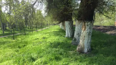 2ГИС, фото - Новости Zakon.kz от 20.05.2019 18:54