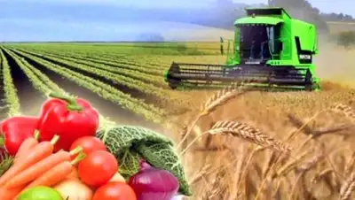 Zakon.kz, фото - Новости Zakon.kz от 27.12.2016 20:04