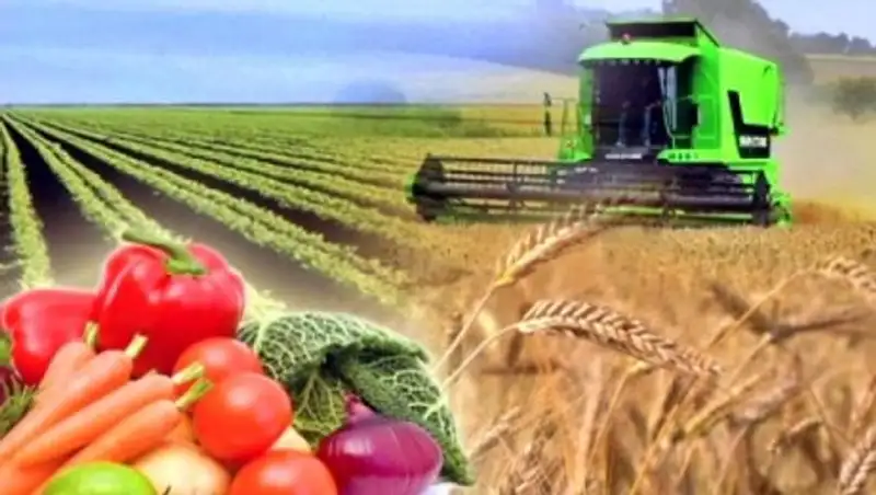 АО "КазАгроФинанс" инвестировал в обновления машинотракторного парка страны