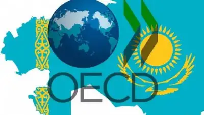 inform.kz , фото - Новости Zakon.kz от 17.03.2018 15:04