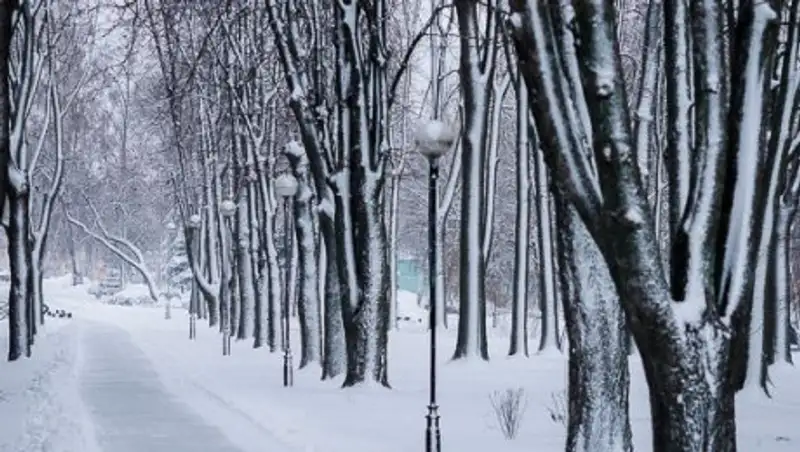 Неустойчивая погода ждет казахстанцев в пятницу
