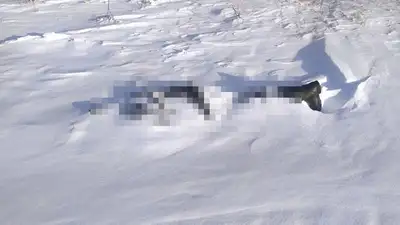 В Северном Казахстане найден мертвым пропавший рыбак, фото - Новости Zakon.kz от 12.01.2023 21:09