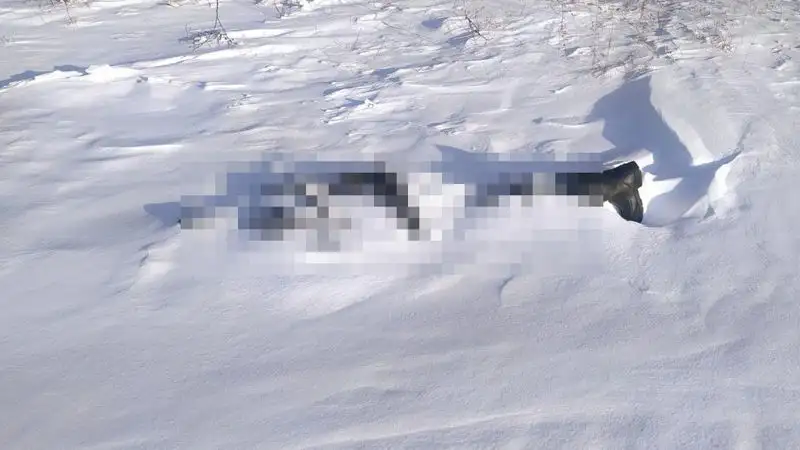 В Северном Казахстане найден мертвым пропавший рыбак