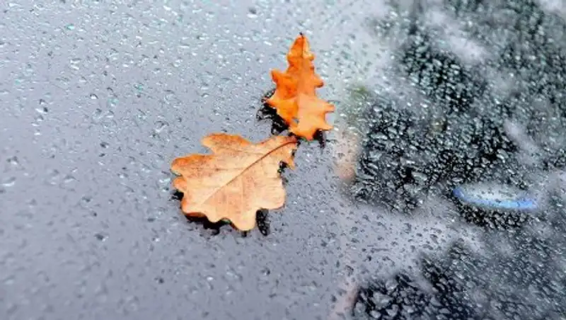 В понедельник на юге Казахстана ожидаются дожди с грозами