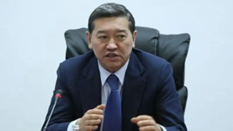 Премьер-Министр обрушился с критикой на налоговиков Казахстана