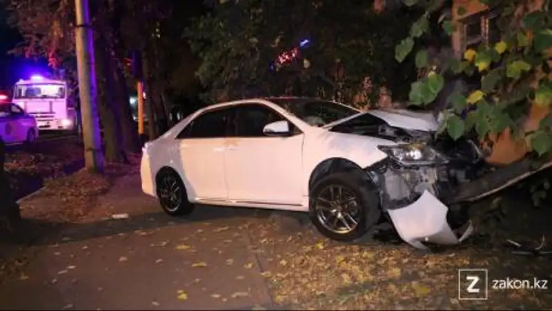 В Алматы дерево спасло водителя от столкновения с жилым домом