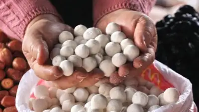 Zakon.kz, фото - Новости Zakon.kz от 02.07.2016 16:30