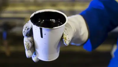 Oil.Эксперт, фото - Новости Zakon.kz от 04.04.2020 17:54