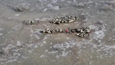 Zakon.kz, фото - Новости Zakon.kz от 04.04.2017 23:48