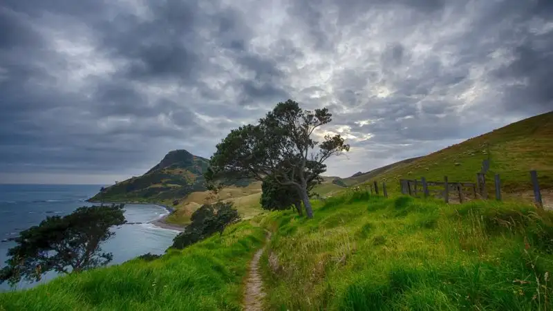 Гороскоп для представителей всех знаков зодиака