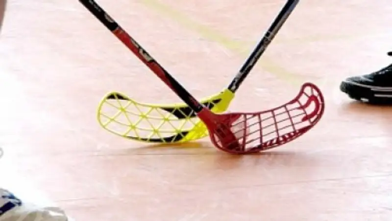 В Чехии во время матча по флорболу обрушилась крыша спортзала